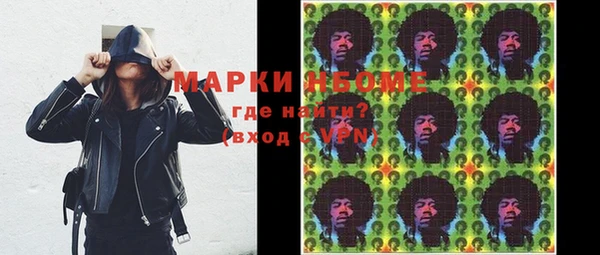 амф Ладушкин