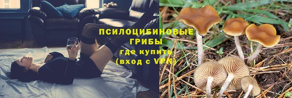 амф Ладушкин