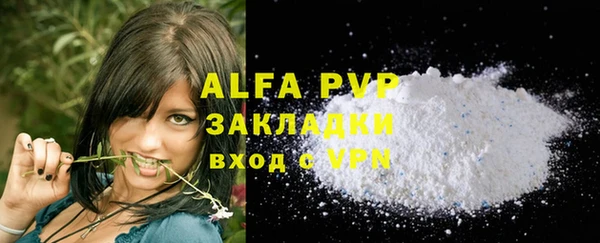 амф Ладушкин