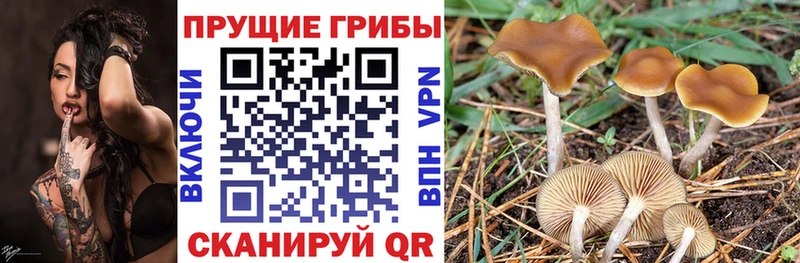 Галлюциногенные грибы MAGIC MUSHROOMS Кропоткин