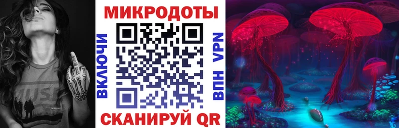 дарк нет как зайти  Кропоткин  Галлюциногенные грибы мицелий 