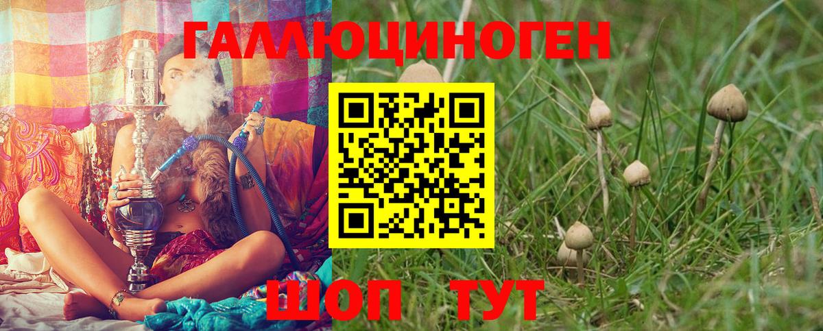 Псилоцибиновые грибы ЛСД Кропоткин